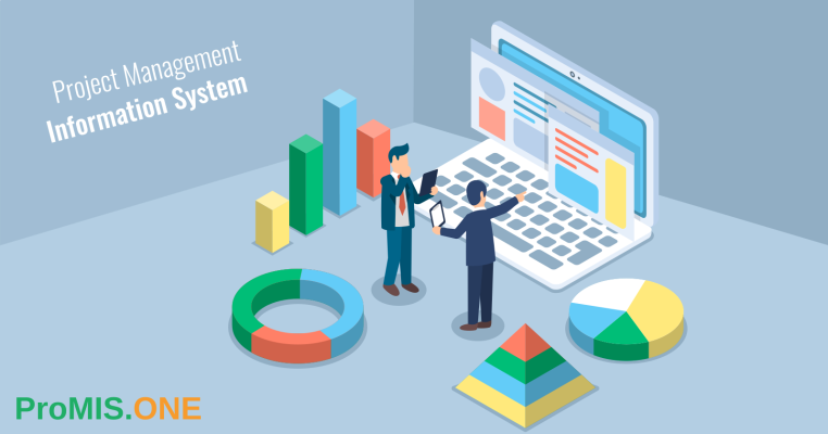 Why should you get a Project Management Information System for your Company?